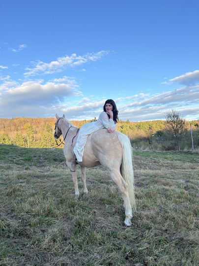 STITCHDOWN FARM