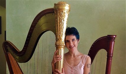 Ariel Fulford, Harpist