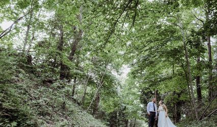 Lake Bluff Preserve