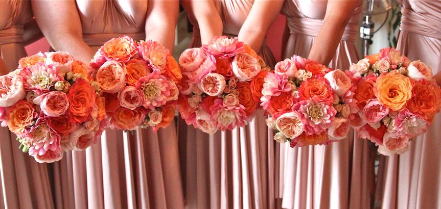 All A'Bloom