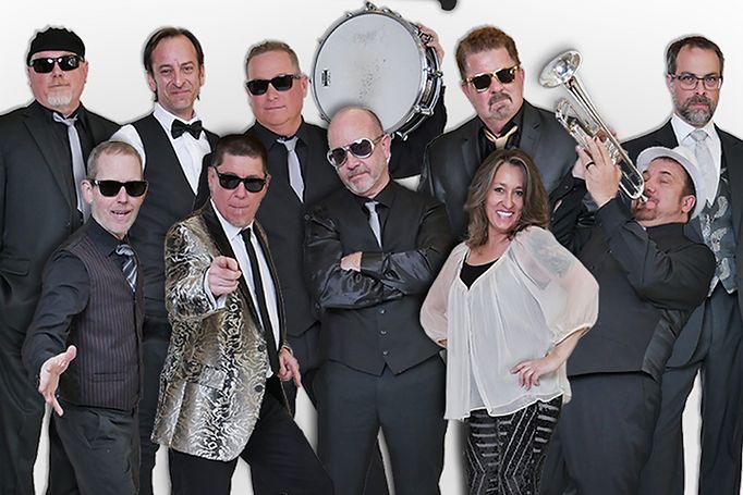 293 Band