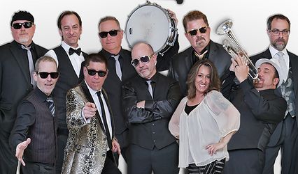 293 Band