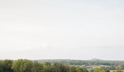 Milea Estate Vineyard