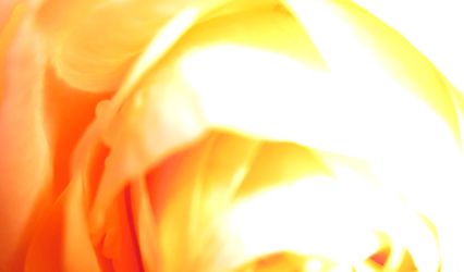 Global Travel Collection