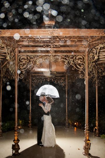 Love, Asha Photography