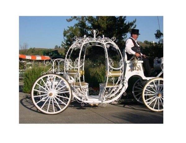 G & F Carriages