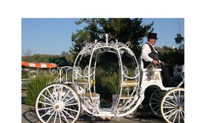 G & F Carriages