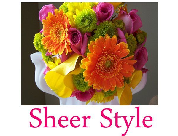 Sheer Style