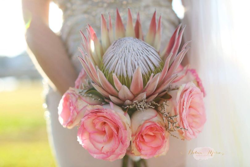 Delaina Marie Photography