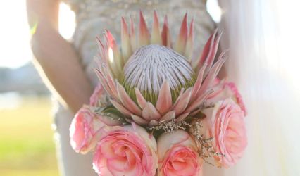 Delaina Marie Photography