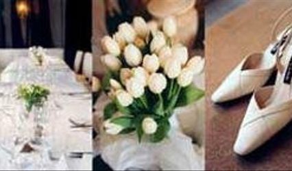 AMS Events