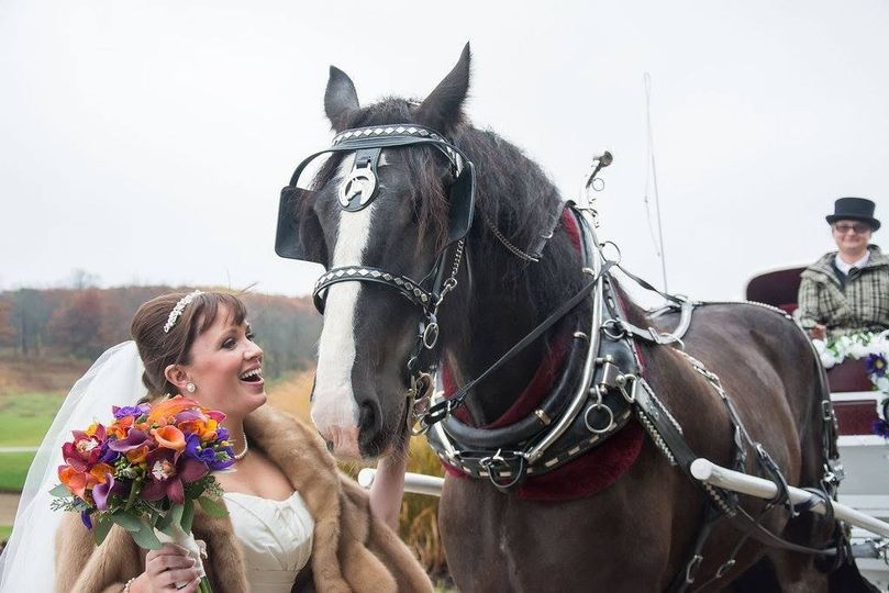 Black Tie Carriage Service