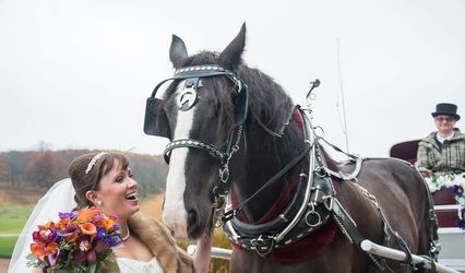 Black Tie Carriage Service