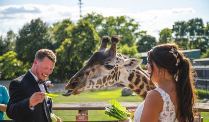 The Toledo Zoo