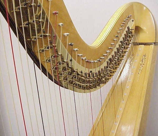 Juliana Mary Nahas, Harpist