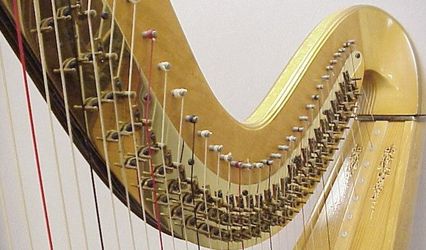 Juliana Mary Nahas, Harpist