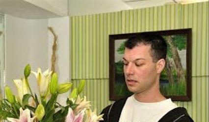 Bird of Paradise Florist PA