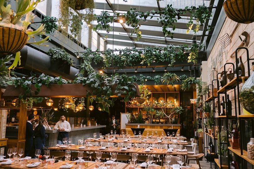 Terra at Eataly Boston