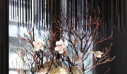 Franz James Floral Boutique