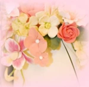 Bella Bella Nice Custom Cakes