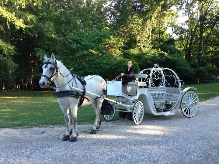 Carriage Tours of Memphis