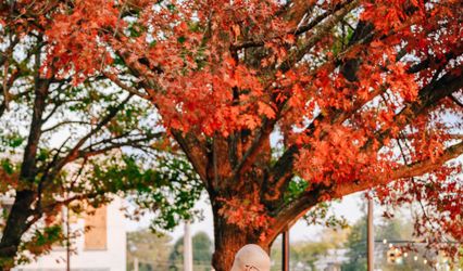 Rachel C Bonnett Photography