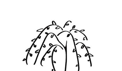 Urban Willow hair gallery