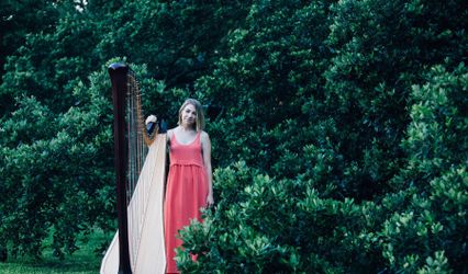 Stephanie Gustafson, Houston Harpist