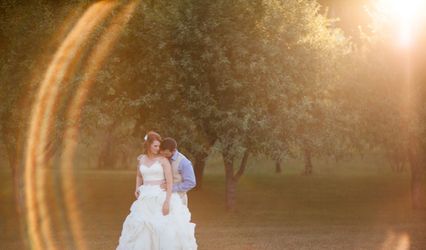 Wren Photography