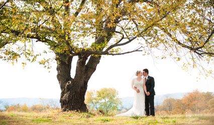 Ashley Brody Photography