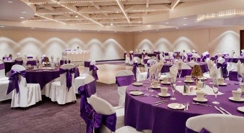 Party Rentals AZ