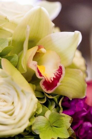 South Pacific Florist