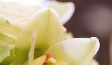 South Pacific Florist