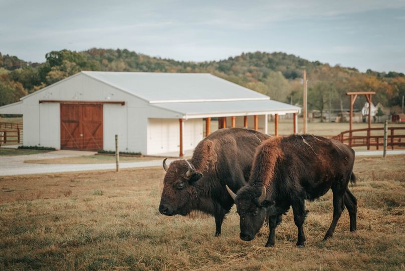 Bullbourne Ranch