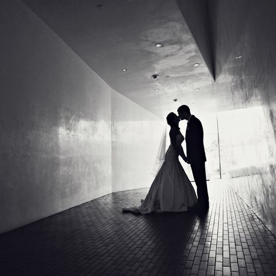 Viveria Photography