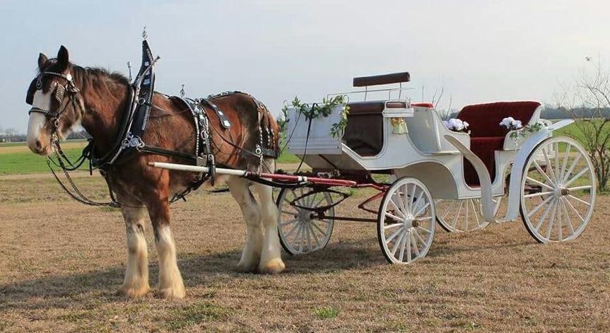 Columbus Limousine and Transportation
