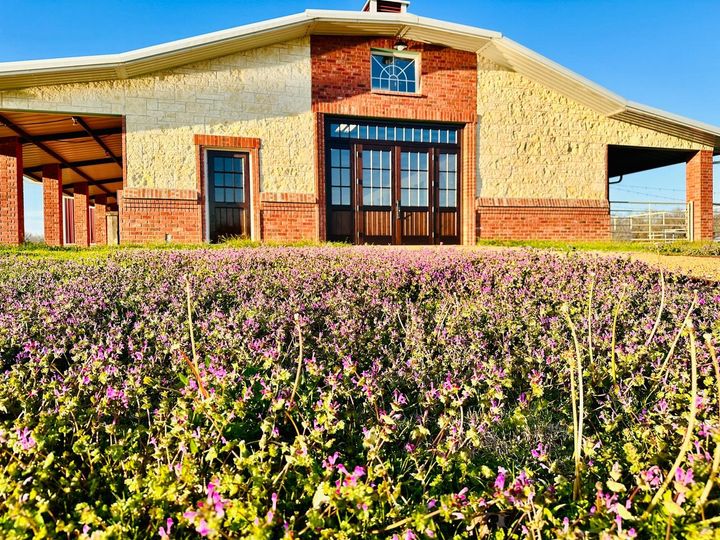 The Dream Ranch