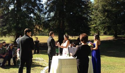 Above Talk Weddings