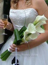 Any Occasion By Dawn