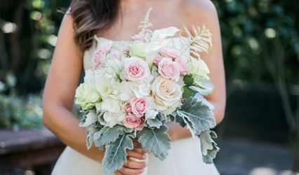 John Davis Florist