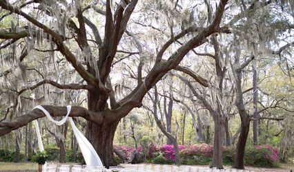 Hewitt Oaks