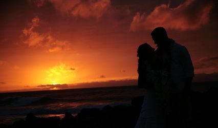 alison e. curtis, photographer