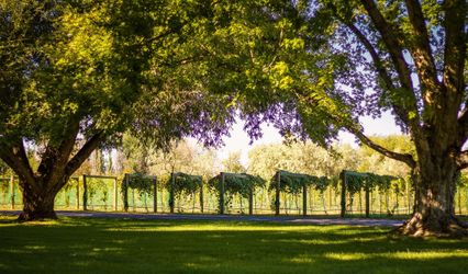 Avalon Arbor Vineyard and Event Venue