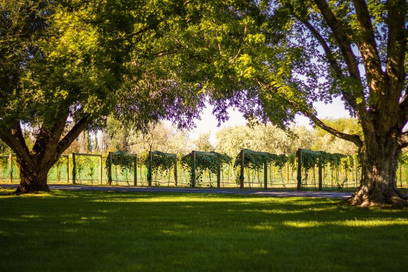 Avalon Arbor Vineyard and Event Venue