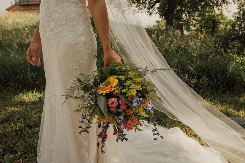 Hailee B Photography
