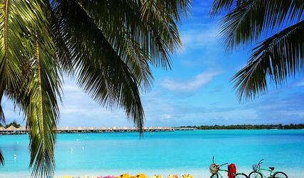 AAV Travel & Romance