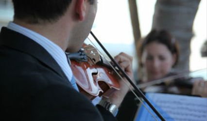Ocean Strings / Ocean String Quartet