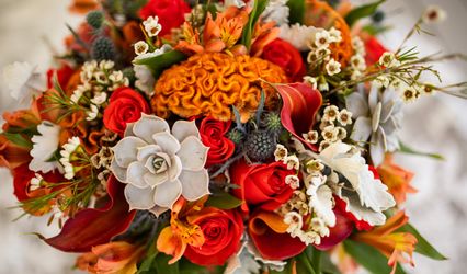 Pixies and Posies