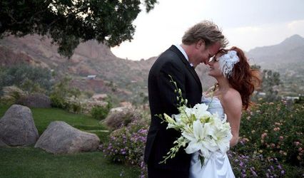 Brad Reed Photography