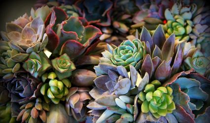 Sorensen Greenhouses